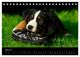 Thumbnail-9