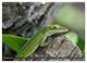 Thumbnail-12