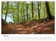 Thumbnail-9