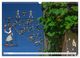 Thumbnail-9