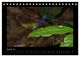 Thumbnail-10