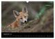 Thumbnail-14