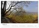 Thumbnail-12