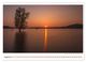 Thumbnail-10