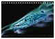 Thumbnail-14