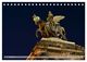 Thumbnail-9