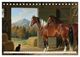 Thumbnail-14
