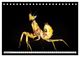 Thumbnail-14
