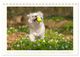 Thumbnail-8