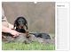 Thumbnail-13