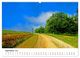 Thumbnail-13