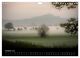 Thumbnail-12