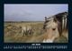 Thumbnail-11