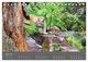 Thumbnail-12