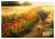 Thumbnail-9