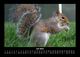 Thumbnail-11