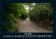 Thumbnail-10