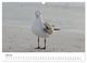 Thumbnail-12