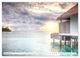 Thumbnail-10