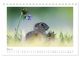 Thumbnail-10