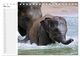 Thumbnail-10