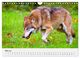 Thumbnail-10
