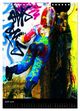 Thumbnail-8