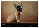 Thumbnail-10