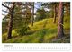 Thumbnail-10