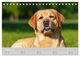 Thumbnail-13