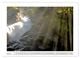 Thumbnail-12