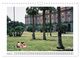 Thumbnail-10