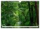 Thumbnail-11