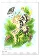 Thumbnail-11