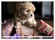 Thumbnail-10