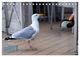 Thumbnail-9