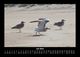 Thumbnail-11