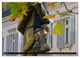 Thumbnail-11