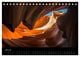 Thumbnail-9