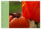 Thumbnail-12