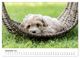 Thumbnail-14