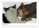 Thumbnail-14