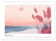 Thumbnail-13