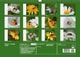 Thumbnail-10