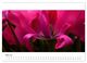 Thumbnail-10