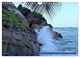 Thumbnail-9