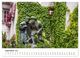 Thumbnail-11