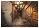 Thumbnail-14