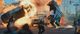 Thumbnail-8