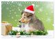 Thumbnail-4